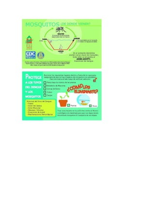 Ramones (recuperado) 3