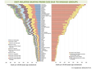 DIET-RELATED DEATHS FROM CVD DUE TO DISEASE GROUPS
In t J Epidemiol. 2019,34:37-55
 