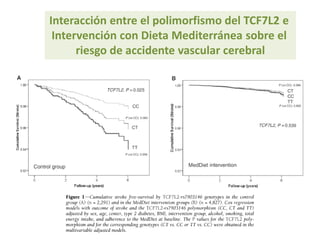 Interacción entre el polimorfismo del TCF7L2 e
Intervención con Dieta Mediterránea sobre el
riesgo de accidente vascular cerebral
 