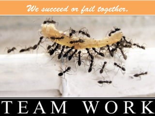 We succeed or fail together.
 