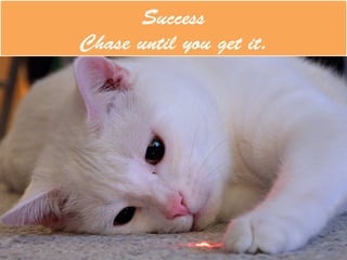 Success
Chase until you get it.
 