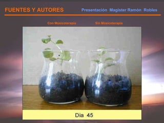 FUENTES Y AUTORES Con Músicoterapia Sin Músicoterapia Presentación  Magister Ramón  Robles  