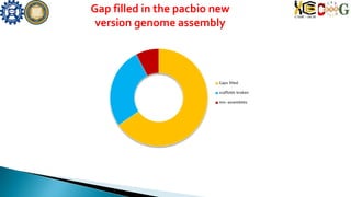 Gap filled in the pacbio new
version genome assembly
Gaps filled
scaffolds broken
mis-assemblies
 