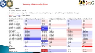 Assembly validation using Quast
 