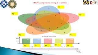 V5 V1 V2 V3 V4
V5
V1
V2
V3V4
 