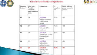 Assembly
Version
No of core
Prots(248
completely
highly conserved
CEG)
Unique gene %
completen
ess
Out of 458 core
genes present in
genome
V1 236 KOG0948
Nuclear exosomal
RNA helicase
MTR4
95.16 412
V2 237 KOG0434
Isoleucyl-tRNA
synthetase
95.56 412
V3 236 KOG0734
AAA+-type ATPase
containing the
peptide
95.16 413
V4 237 KOG2311
NAD/FAD-
utilizing protein
95.56 416
V5 238 KOG1158
NADP/FAD
dependent
oxidoreductase
95.97 414
 