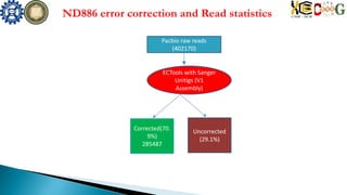 ND886 error correction and Read statistics
Pacbio raw reads
(402170)
ECTools with Sanger
Unitigs (V1
Assembly)
Corrected(70.
9%)
285487
Uncorrected
(29.1%)
 