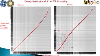 Nucmer Promer
Pr102 2016
pacbio
assembly
 