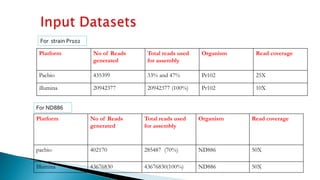 Platform No of Reads
generated
Total reads used
for assembly
Organism Read coverage
Pacbio 435399 33% and 47% Pr102 25X
illumina 20942377 20942377 (100%) Pr102 10X
Platform No of Reads
generated
Total reads used
for assembly
Organism Read coverage
pacbio 402170 285487 (70%) ND886 50X
Illumina 43676830 43676830(100%) ND886 50X
For strain Pr102
For ND886
 