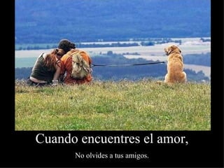 Cuando encuentres el amor, No olvides a tus amigos. 