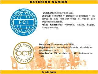 Fundación: 22 de mayo de 1911
Objetivo: Fomentar y proteger la cinología y los
perros de pura raza por todos los medios que
encuentra deseables.
Países fundadores: Alemania, Austria, Bélgica,
Francia, Holanda.
Fundación: 15 de octubre de 1970
Objetivo: Protección y desarrollo de la calidad de los
perros de raza pura.
Miembro de FCI: asociado en 1971. Federado en
1974.
 