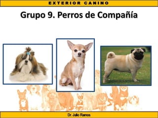 Grupo 9. Perros de Compañía
 