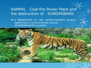 RAMPAL Coal-fire Power Plant and
the destruction of SUNDARBANS
 A PRESENTION by :-Md. NAYON HOSSAIN, Student,
department of environmental sciences ,
JAHANGIRNAGAR university
 