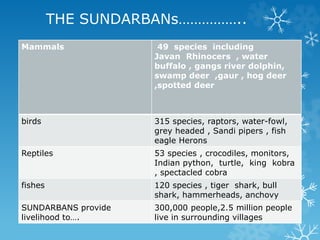 Sundarbans Python Rampal coal fire power plant and the destruction of sundarbans | PPTX