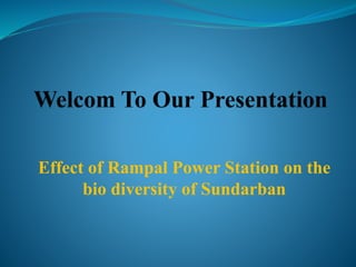 Effect of Rampal Power Station on the
bio diversity of Sundarban
 