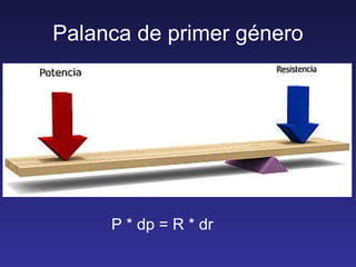 Palanca de primer género P * dp = R * dr 