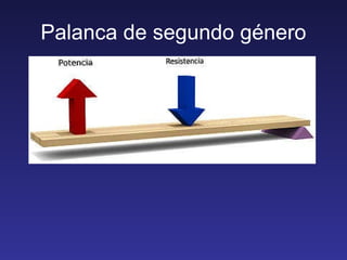 Palanca de segundo género 