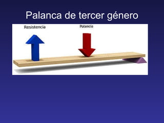 Palanca de tercer género 
