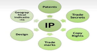 Intellectual Property Rights | PPTX