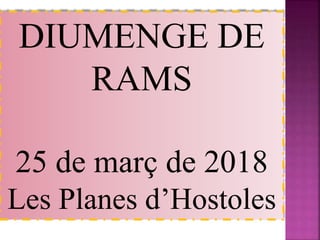 DIUMENGE DE
RAMS
25 de març de 2018
Les Planes d’Hostoles
 