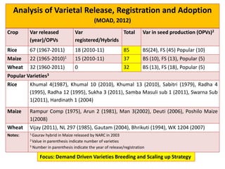 Analysis of Varietal Release, Registration and Adoption
(MOAD, 2012)
Crop Var released
(year)/OPVs
Var
registered/Hybrids
Total Var in seed production (OPVs)2
Rice 67 (1967-2011) 18 (2010-11) 85 BS(24), FS (45) Popular (10)
Maize 22 (1965-2010)1 15 (2010-11) 37 BS (10), FS (13), Popular (5)
Wheat 32 (1960-2011) 0 32 BS (13), FS (18), Popular (5)
Popular Varieties3
Rice Khumal 4(1987), Khumal 10 (2010), Khumal 13 (2010), Sabitri (1979), Radha 4
(1995), Radha 12 (1995), Sukha 3 (2011), Samba Masuli sub 1 (2011), Swarna Sub
1(2011), Hardinath 1 (2004)
Maize Rampur Comp (1975), Arun 2 (1981), Man 3(2002), Deuti (2006), Poshilo Maize
1(2008)
Wheat Vijay (2011), NL 297 (1985), Gautam (2004), Bhrikuti (1994), WK 1204 (2007)
Notes: 1 Gaurav hybrid in Maize released by NARC in 2003
2 Value in parenthesis indicate number of varieties
3 Number in parenthesis indicate the year of release/registration
Focus: Demand Driven Varieties Breeding and Scaling up Strategy
 