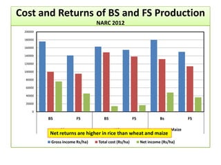 Cost and Returns of BS and FS Production
NARC 2012
0
20000
40000
60000
80000
100000
120000
140000
160000
180000
200000
BS FS BS FS Bs FS
Rice Wheat Maize
Gross income Rs/ha) Total cost (Rs/ha) Net income (Rs/ha)
Net returns are higher in rice than wheat and maize
 