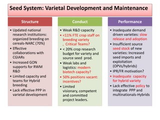 Seed System: Varietal Development and Maintenance
Structure
• Updated national
research institutions:
organized breeding on
cereals-NARC (70%)
• Effective
collaborations with
CGIARs
• Increased GON
supports for RWM
R&D
• Limited capacity and
teams for Hybrid
breeding
• Lack effective PPP in
varietal development
Conduct
• Weak R&D capacity
• <11% FTE crop staff on
breeding variety
, Critical Teams?
• < 20% crop research
budget for variety and
source seed prod.
• Weak labs and
logistics: modern
biotech capacity?
• 50% positions vacant:
incentives?
• Limited
visionary, competent
and committed
project leaders.
Performance
• Inadequate demand
driven varieties: slow
release and adoption
• Insufficient source
seed stock of new
varieties: Increased
seed imports and
exploitation
(OPVs/hybrids)
• IPR/FR motivation?
• Inadequate capacity
for hybrid variety
• Lack effective policy to
integrate PPP and
multinationals-Hybrids
 
