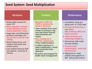 Seed System: Seed Multiplication
Structure
•Modest R&D network for
seeds: PPP
•Weak integration between
varietal development and
seed multiplication chains
• Huge labor cost followed by
fertilizers and tillage, and
the net returns are low (<Rs
10K/ha)
•Weak infrastructure, and
markets: both public and
private sectors
•Lack updated technical staff
and capacity: small size of
industry
Conduct
• Mismatch of BS-FS-
CS/IS to address the
farmers’ demands
• New varieties from cross
border is coming on big
way that distort internal
seed demands and
supply
• Non compliance of
contract agreements:
Policy implementation
• Limited investment in
seed multiplication, cereal
seed production less
attractive:
• No policy and program for
Buffer stock management
Performance
• Foundation seeds are
being used as CS/IS seed
• The cost of production is
high (labor
60%, fertilizers 30%) and
returns are low.
• Weak Business and
marketing intelligence,
• Monitoring :24% seeds
are poor quality
• Insurance and
compensation : quick and
timely policy?
• Alignment on seed
subsidy and supports in :
NSC and private sectors
 