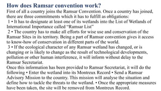How does Ramsar convention work?
First of all a country joins the Ramsar Convention. Once a country has joined,
there are three commitments which it has to fulfill as obligations:
1 • It has to designate at least one of its wetlands into the List of Wetlands of
International Importance called “Ramsar List”
2 • The country has to make all efforts for wise use and conservation of the
Ramsar Sites in its territory. Being a part of Ramsar convention gives it access
to know-how of conservation in different parts of the world.
3 • If the ecological character of any Ramsar wetland has changed, or is
changing or is likely to change as the result of technological developments,
pollution or other human interference, it will inform without delay to the
Ramsar Secretariat.
Once this information has been provided to Ramsar Secretariat, it will do the
following • Enter the wetland into its Montreux Record • Send a Ramsar
Advisory Mission to the country. This mission will analyse the situation and
define how to tackle the threats to the wetland. • Once the appropriate measures
have been taken, the site will be removed from Montreux Record.
 