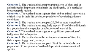 Criterion 3. The wetland must support populations of plant and or
animal species important to maintain the biodiversity of a particular
biogeographic region.
Criterion 4.The wetland must support plant and or animal species at a
critical stage in their life cycles, or provides refuge during adverse
conditions.
Criterion 5. The wetland must support 20,000 or more waterbirds.
Criterion 6. The wetland must regularly support 1% of the individuals
in a population of one species or subspecies of waterbirds.
Criterion 7.The wetland must support a significant proportion of
indigenous fish subspecies.
Criterion 8. The wetland must be an important source of food for
fishes, spawning ground, nursery.
Criterion 9. The wetland must support 1% of the individuals in a
population of one species of wetland dependent non-avian animal
species
 