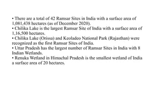 • There are a total of 42 Ramsar Sites in India with a surface area of
1,081,438 hectares (as of December 2020).
• Chilika Lake is the largest Ramsar Site of India with a surface area of
1,16,500 hectares.
• Chilika Lake (Orissa) and Keoladeo National Park (Rajasthan) were
recognized as the first Ramsar Sites of India.
• Uttar Pradesh has the largest number of Ramsar Sites in India with 8
Indian Wetlands.
• Renuka Wetland in Himachal Pradesh is the smallest wetland of India
a surface area of 20 hectares.
 