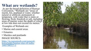 What are wetlands?
As per the broad definition of Ramsar
Convention, “Wetlands are “areas of
marsh, fen, peatland or water, whether
natural or artificial, permanent or
temporary, with water that is static or
flowing, fresh, brackish or salt, including
areas of marine water the depth of which
at low tide does not exceed six metres.”
Examples of Wetlands are:
• Marine and coastal areas
• Estuaries
• Marshes and peatlands
IMAGE SOURCE-
https://m.jagranjosh.com/general-
knowledge/ramsar-sites-in-india-
1605708327-1
 