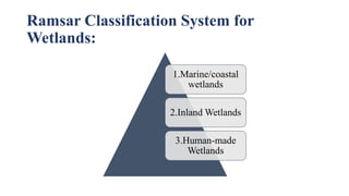 Ramsar Classification System for
Wetlands:
1.Marine/coastal
wetlands
2.Inland Wetlands
3.Human-made
Wetlands
 