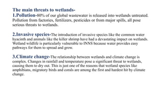 The main threats to wetlands-
1.Pollution-80% of our global wastewater is released into wetlands untreated.
Pollution from factories, fertilizers, pesticides or from major spills, all pose
serious threats to wetlands.
2.Invasive species-The introduction of invasive species like the common water
hyacinth and animals like the killer shrimp have had a devastating impact on wetlands.
Wetland wildlife is particularly vulnerable to INNS because water provides easy
pathways for them to spread and grow.
3.Climate change-The relationship between wetlands and climate change is
complex. Changes in rainfall and temperature pose a significant threat to wetlands,
causing them to dry out. This is just one of the reasons that wetland species like
amphibians, migratory birds and corals are among the first and hardest hit by climate
change.
 