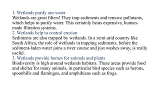 1. Wetlands purify our water
Wetlands are great filters! They trap sediments and remove pollutants,
which helps to purify water. This certainly beats expensive, human-
made filtration systems.
2. Wetlands help to control erosion
Sediments are also trapped by wetlands. In a semi-arid country like
South Africa, the role of wetlands in trapping sediments, before the
sediment-laden water joins a river course and just washes away, is really
useful.
3. Wetlands provide homes for animals and plants
Biodiversity is high around wetlands habitats. These areas provide food
and shelter for many animals, in particular bird species such as herons,
spoonbills and flamingos, and amphibians such as frogs.
 