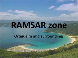 RAMSAR zone
Ortigueira and surroundings
 