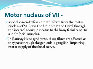 Motor nucleus of VII -
special visceral efferent motor fibres from the motor
nucleus of VII leave the brain stem and travel through
the internal acoustic meatus to the bony facial canal to
supply facial muscles.
In Ramsay Hunt syndrome, these fibres are affected as
they pass through the geniculate ganglion, impairing
motor supply of the facial nerve.
 