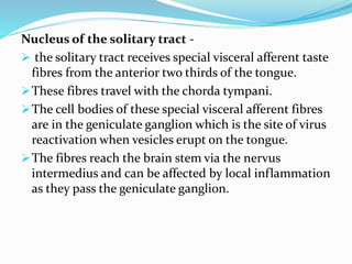 Nucleus of the solitary tract -
 the solitary tract receives special visceral afferent taste
fibres from the anterior two thirds of the tongue.
These fibres travel with the chorda tympani.
The cell bodies of these special visceral afferent fibres
are in the geniculate ganglion which is the site of virus
reactivation when vesicles erupt on the tongue.
The fibres reach the brain stem via the nervus
intermedius and can be affected by local inflammation
as they pass the geniculate ganglion.
 