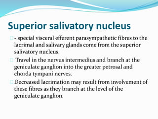 Superior salivatory nucleus
- special visceral efferent parasympathetic fibres to the
lacrimal and salivary glands come from the superior
salivatory nucleus.
Travel in the nervus intermedius and branch at the
geniculate ganglion into the greater petrosal and
chorda tympani nerves.
Decreased lacrimation may result from involvement of
these fibres as they branch at the level of the
geniculate ganglion.
 