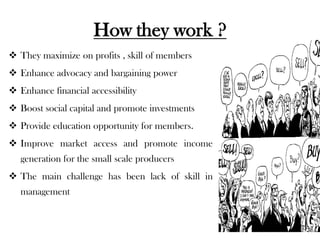 How they work ?
 They maximize on profits , skill of members
 Enhance advocacy and bargaining power
 Enhance financial accessibility
 Boost social capital and promote investments
 Provide education opportunity for members.
 Improve market access and promote income
   generation for the small scale producers
 The main challenge has been lack of skill in
   management
 