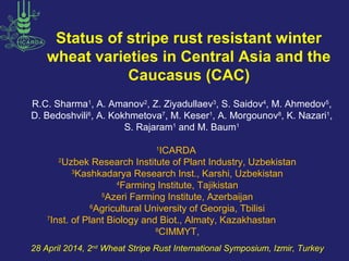 Status of stripe rust resistant winter
wheat varieties in Central Asia and the
Caucasus (CAC)
R.C. Sharma1
, A. Amanov2
, Z. Ziyadullaev3
, S. Saidov4
, M. Ahmedov5
,
D. Bedoshvili6
, A. Kokhmetova7
, M. Keser1
, A. Morgounov8
, K. Nazari1
,
S. Rajaram1
and M. Baum1
1
ICARDA
2
Uzbek Research Institute of Plant Industry, Uzbekistan
3
Kashkadarya Research Inst., Karshi, Uzbekistan
4
Farming Institute, Tajikistan
5
Azeri Farming Institute, Azerbaijan
6
Agricultural University of Georgia, Tbilisi
7
Inst. of Plant Biology and Biot., Almaty, Kazakhastan
8
CIMMYT,
28 April 2014, 2nd
Wheat Stripe Rust International Symposium, Izmir, Turkey
 