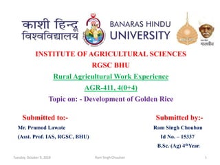 INSTITUTE OF AGRICULTURAL SCIENCES
RGSC BHU
Rural Agricultural Work Experience
AGR-411, 4(0+4)
Topic on: - Development of Golden Rice
Submitted to:- Submitted by:-
Mr. Pramod Lawate Ram Singh Chouhan
(Asst. Prof. IAS, RGSC, BHU) Id No. – 15337
B.Sc. (Ag) 4thYear.
1Tuesday, October 9, 2018 Ram Singh Chouhan
 