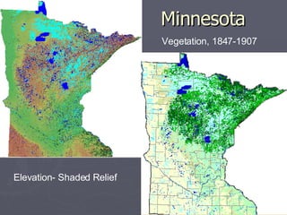 Minnesota   Elevation Elevation- Shaded Relief Vegetation, 1847-1907 