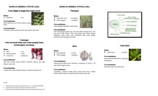 Sumber:
• Standar pelayanan medik herbal (Menkes RI no 121/ Menkes/SK/III/2008)
• Formularium obat herbal asli indonesia (Kemenkes RI 2011)
• Pedoman kader pemanfaatan tanaman obat untuk kesehatan (Kemenkes 2011)
RAMUANRAMUANRAMUANRAMUAN HERBALHERBALHERBALHERBAL UNTUKUNTUKUNTUKUNTUK LUKALUKALUKALUKA
LukaLukaLukaLuka digigitdigigitdigigitdigigit seranggaseranggaseranggaserangga dandandandan sengatsengatsengatsengat tawontawontawontawon
Bahan:Bahan:Bahan:Bahan:
� Sambiloto 1 jari
CaraCaraCaraCara pembuatan:pembuatan:pembuatan:pembuatan:
Daun sambiloto cuci bersih, tumbuk sampai
Halus.
CaraCaraCaraCara pemakaian:pemakaian:pemakaian:pemakaian:
Tumbukan daun sambiloto gosok dan oleskan pada luka.
CantenganCantenganCantenganCantengan
LukaLukaLukaLuka bernanahbernanahbernanahbernanah ditepiditepiditepiditepi atauatauatauatau sudutsudutsudutsudut pangkalpangkalpangkalpangkal kuku,kuku,kuku,kuku,
membengkak,membengkak,membengkak,membengkak, meradang.meradang.meradang.meradang.
Bahan:Bahan:Bahan:Bahan:
� Jahe 1 jari
� Bawang merah 1 buah
� Asam jawa secukupnya
CaraCaraCaraCara pembuatan:pembuatan:pembuatan:pembuatan:
Jahe dan bawang merah dibakar kemudian diparut lalu aduk
dengan asam jawa.
CaraCaraCaraCara pemakaian:pemakaian:pemakaian:pemakaian:
Tempel pada luka kemudian dibalut. Lakukan beberapa kali.
RAMUANRAMUANRAMUANRAMUAN HERBALHERBALHERBALHERBAL UNTUKUNTUKUNTUKUNTUK LUKALUKALUKALUKA
TelusupanTelusupanTelusupanTelusupan
Bahan:Bahan:Bahan:Bahan:
���� Getah kayu urip secukupnya
���� Daun pegagan 1 genggam
CaraCaraCaraCara pembuatan:pembuatan:pembuatan:pembuatan:
Daun pegagan ditumbuk sampai halus.
CaraCaraCaraCara pemakaian:pemakaian:pemakaian:pemakaian:
Olesi luka dengan getah urip, lalu luka dibalut dengan kain kasa
atau kain bersih lainnya. Duri atau bambu akan keluar dengan
sendirinya tanpa terasa sakit. Kemudian luka tutup dengan
tumbukan daun pegagan lalu balut.
BisulBisulBisulBisul
Bahan:Bahan:Bahan:Bahan:
���� Bawang putih ½ siung
���� Daun pegagan 1 genggam
CaraCaraCaraCara pembuatan:pembuatan:pembuatan:pembuatan:
Bawang putih diparut atau ditumbuk, campurkan air bersih 1 sdt
aduk-aduk hingga merata.
CaraCaraCaraCara pemakaian:pemakaian:pemakaian:pemakaian:
Tempelkan ramuan tersebut diatas sekitar mata bisul. Apabila
belum terlihat matanya tempelkan pada tempat yang sakit.
LukaLukaLukaLuka bakarbakarbakarbakar
Bahan:Bahan:Bahan:Bahan:
���� Lidah buaya 1 pelepah
CaraCaraCaraCara pembuatan:pembuatan:pembuatan:pembuatan:
Kupas pelepah lidah buaya, dagingnya
Dilumatkan.
CaraCaraCaraCara pemakaian:pemakaian:pemakaian:pemakaian:
Dioleskan pada luka bakar baru.
 