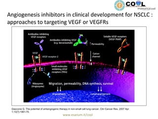 www.esanum.it/cool
Giaccone G. The potential of antiangiogenic therapy in non-small cell lung cancer. Clin Cancer Res. 2007 Apr
1;13(7):1961-70.
Angiogenesis inhibitors in clinical development for NSCLC :
approaches to targeting VEGF or VEGFRs
 