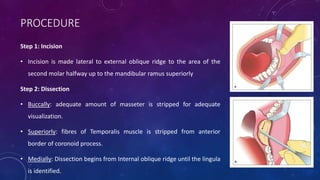 PROCEDURE
Step 1: Incision
• Incision is made lateral to external oblique ridge to the area of the
second molar halfway up to the mandibular ramus superiorly
Step 2: Dissection
• Buccally: adequate amount of masseter is stripped for adequate
visualization.
• Superiorly: fibres of Temporalis muscle is stripped from anterior
border of coronoid process.
• Medially: Dissection begins from Internal oblique ridge until the lingula
is identified.
 