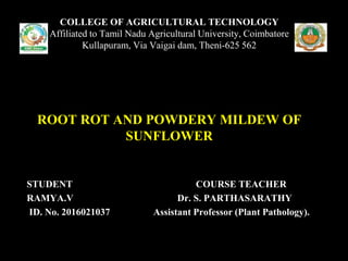 STUDENT COURSE TEACHER
RAMYA.V Dr. S. PARTHASARATHY
ID. No. 2016021037 Assistant Professor (Plant Pathology).
COLLEGE OF AGRICULTURAL TECHNOLOGY
Affiliated to Tamil Nadu Agricultural University, Coimbatore
Kullapuram, Via Vaigai dam, Theni-625 562
ROOT ROT AND POWDERY MILDEW OF
SUNFLOWER
 