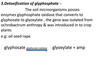 3.Detoxification of glyphosphate :-
The soil microorganisms posses
enzymes glyphosphate oxidase that converts to
glyphosate to glyoxylate . the gene was isolated from
ochrobactrum anthropy & was introduced in to crop
plants
e.g: oil seed rape
glyphosate glyphosate oxidase glyoxylate + amp
 