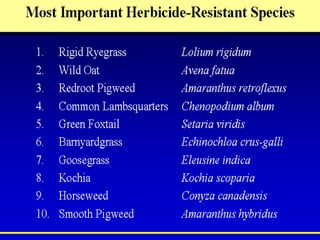Herbicide resistance