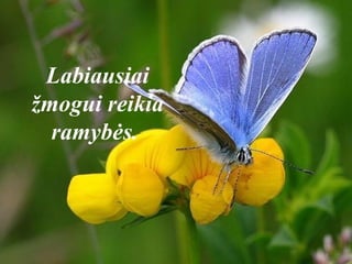 Labiausiai
žmogui reikia
ramybės.
 